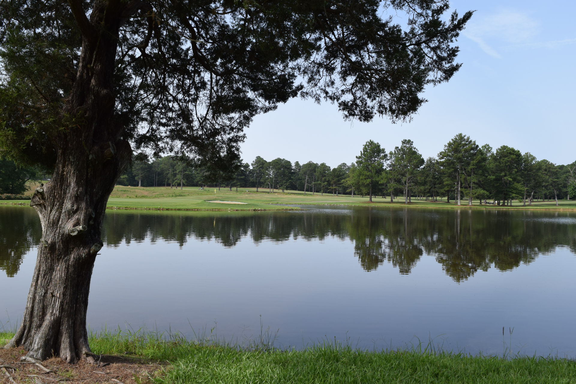 Pines Crossing Golf Course